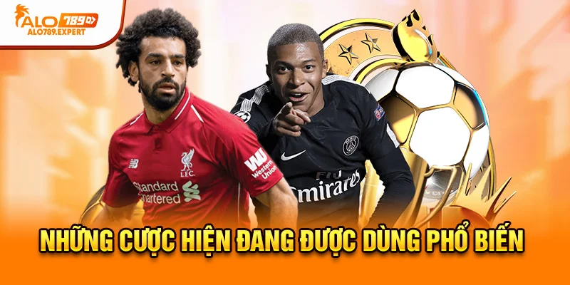 Những cược hiện đang được dùng phổ biến