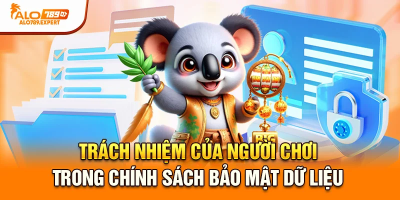 Trách nhiệm của người chơi trong chính sách bảo mật dữ liệu