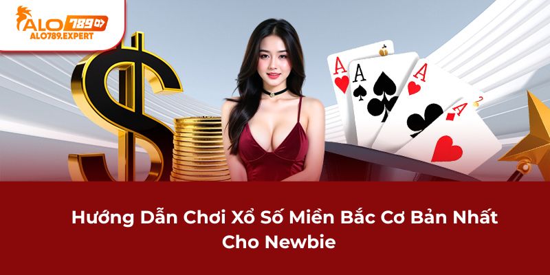 Hướng dẫn chơi xổ số Miền Bắc cơ bản nhất cho newbie