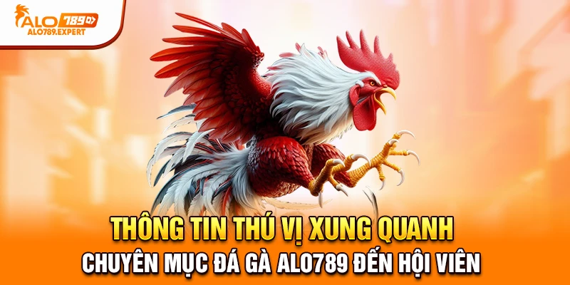 Thông tin thú vị xung quanh chuyên mục đá gà Alo789 đến hội viên