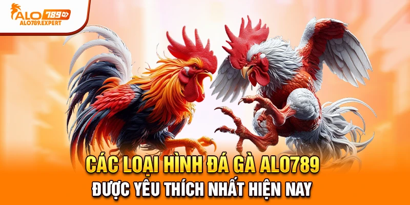Các loại hình đá gà Alo789 được yêu thích nhất hiện nay