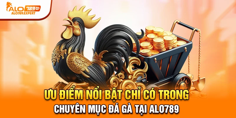 Ưu điểm nổi bật chỉ có trong chuyên mục đá gà tại Alo789