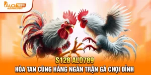 s128 alo789
