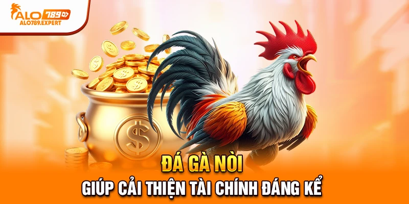 Đá gà nòi giúp cải thiện tài chính đáng kể