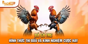 đá gà tre