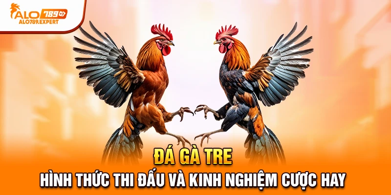 đá gà tre