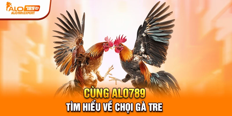 Cùng Alo789 tìm hiểu về chọi gà tre