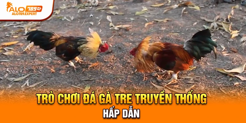 Trò chơi đá gà tre truyền thống hấp dẫn