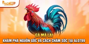 gà mã lai