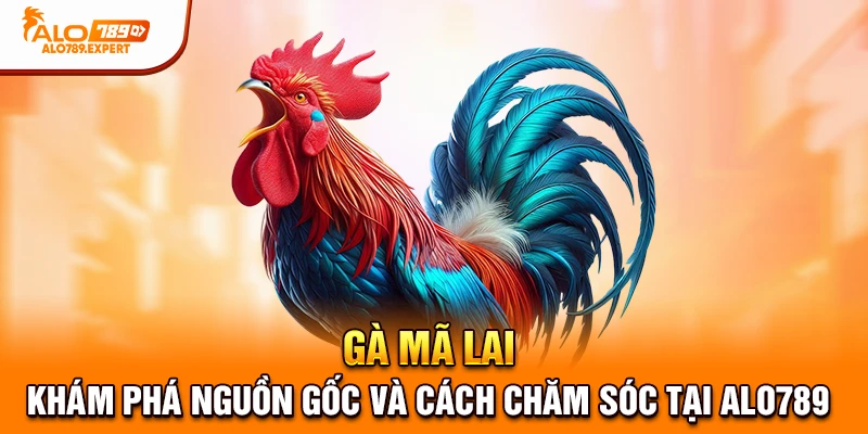 gà mã lai