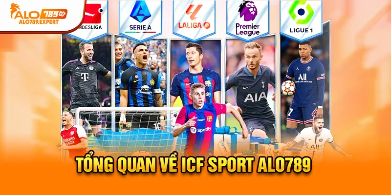 Tổng quan về ICF Sport Alo789
